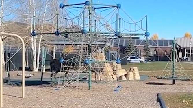The moose reunited with his mother on a playground.